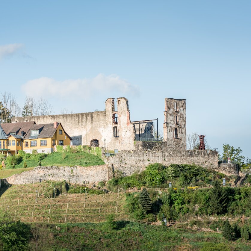 Voitsberger Schlossberg | © Lipizzanerheimat - Die Abbilderei Voitsberger Schlossberg | © Lipizzanerheimat - Die Abbilderei