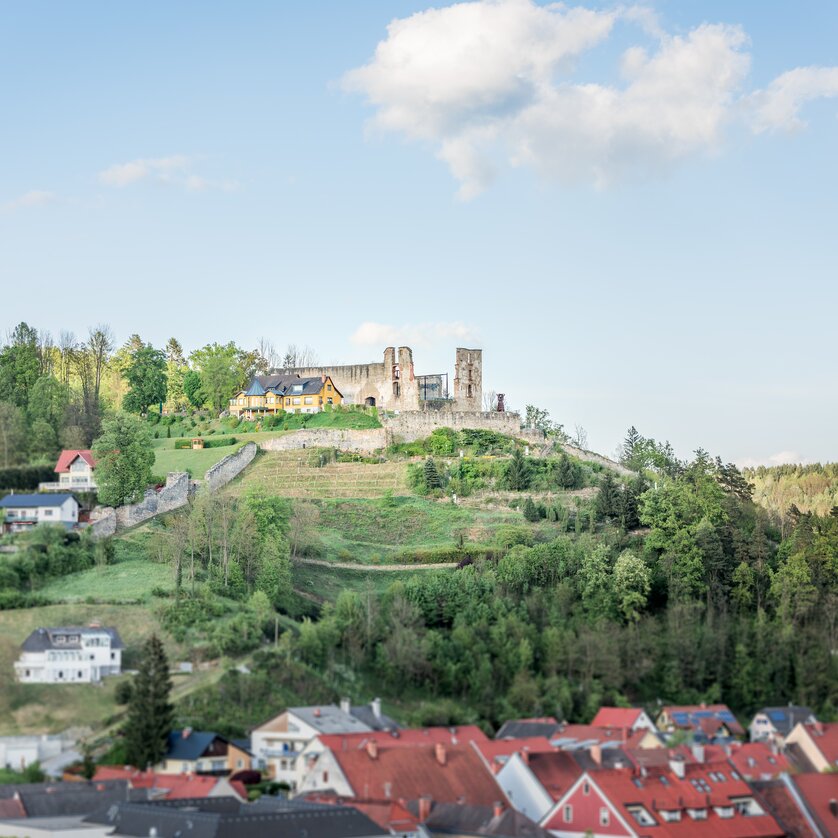 Voitsberger Schlossberg | © Lipizzanerheimat - Die Abbilderei Voitsberger Schlossberg | © Lipizzanerheimat - Die Abbilderei