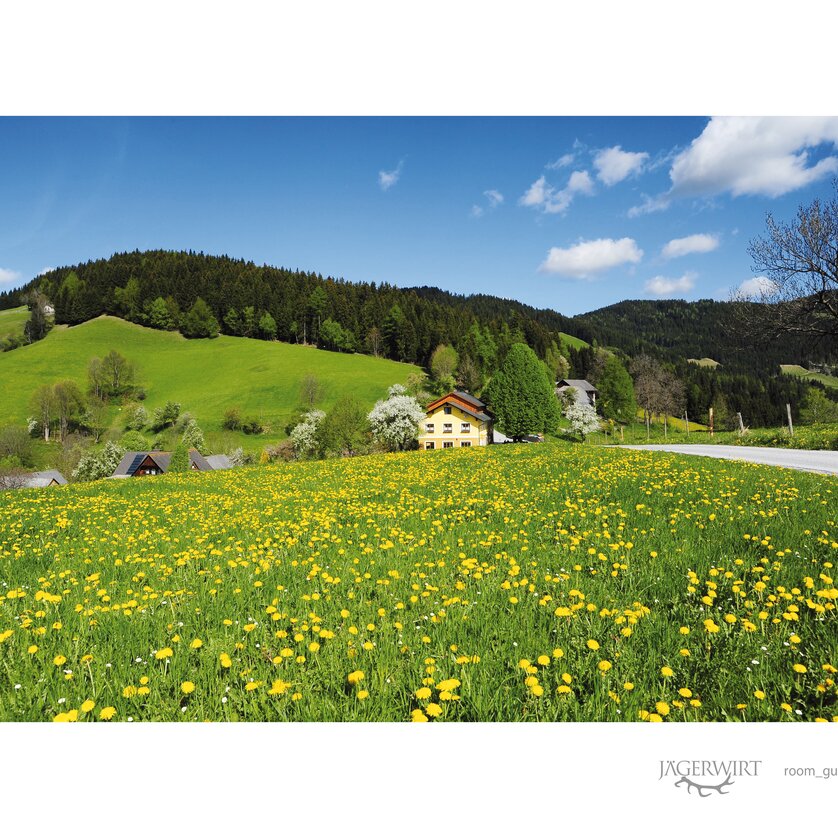 Jägerwirt | © Jägerwirt-Irmgard Daempfer Jägerwirt | © Jägerwirt-Irmgard Daempfer