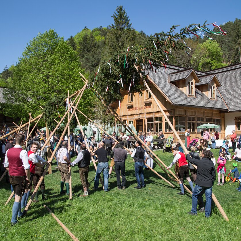 ÖFM Maibaum | © Österreichisches Freilichtmuseum-UMJ ÖFM Maibaum | © Österreichisches Freilichtmuseum-UMJ