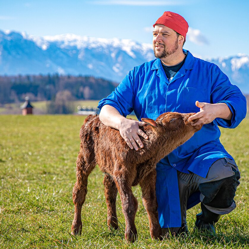 Petutschnig-Hons with a calf | © HeimoSpindler