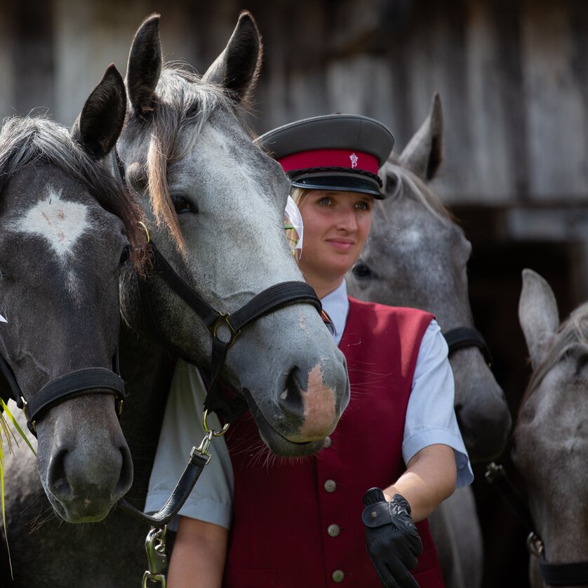 Lipizzaner Stud Farm Piber | © SRS-Sabrina Mallick Lipizzaner Stud Farm Piber | © SRS-Sabrina Mallick