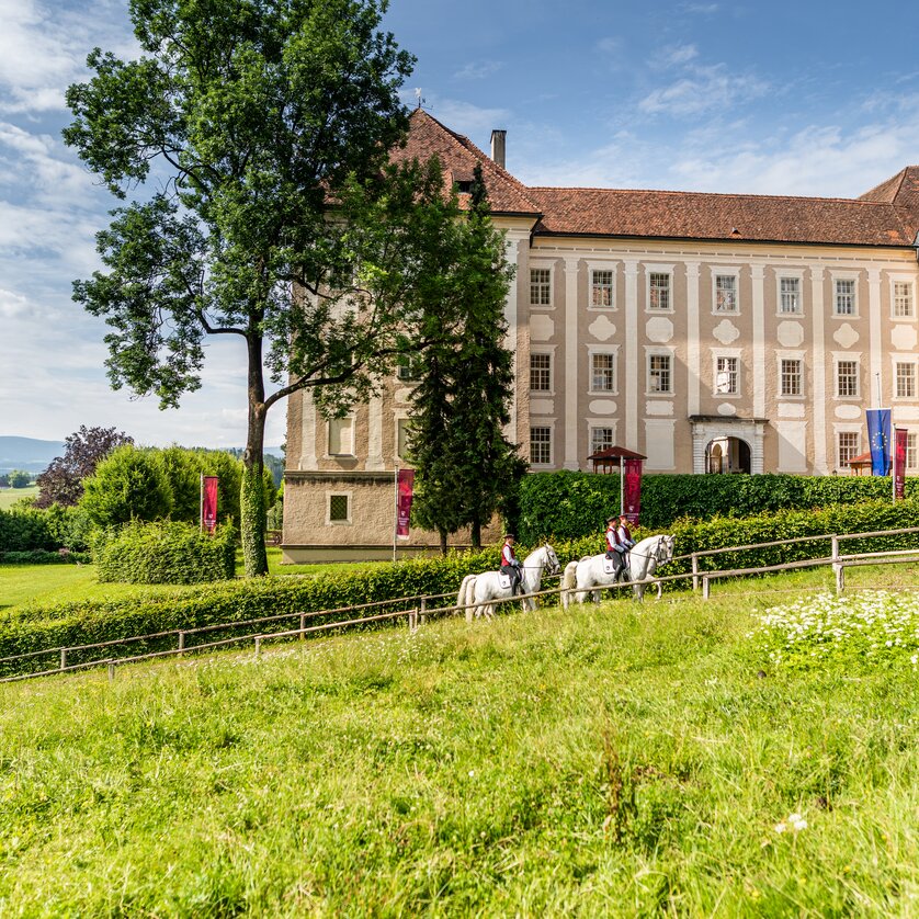 Lipizzanergestüt mit Schloss Piber | © Lipizzanerheimat-Die Abbilderei