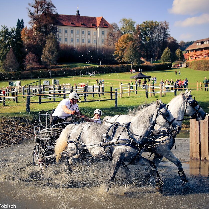 National Championships Harnessed Drivers | © pressfoto-MarkusTobisch National Championships Harnessed Drivers | © pressfoto-MarkusTobisch