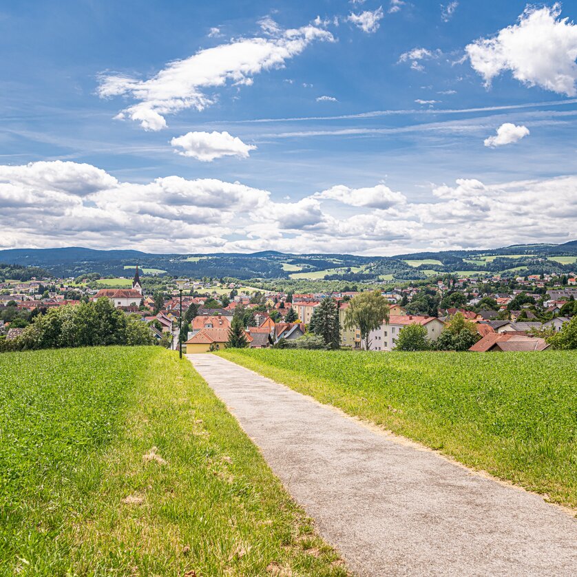 Panorama Köflach | © Lipizzanerheimat-DieAbbilderei Panorama Köflach | © Lipizzanerheimat-DieAbbilderei