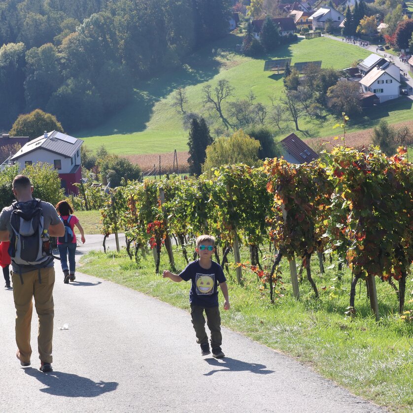 Stürmische Wanderung Ligist | © RobertCescutti Stürmische Wanderung Ligist | © RobertCescutti