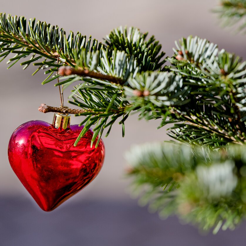 Symbol fir branch | © TV Region Graz- Mias Photoart Symbol fir branch | © TV Region Graz- Mias Photoart
