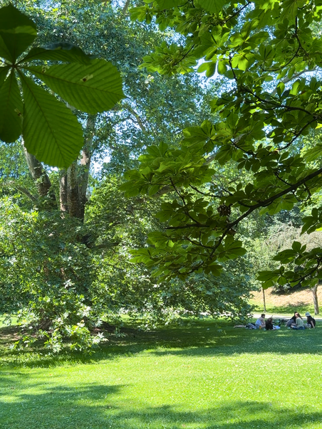 Stadtpark | © Graz Tourismus