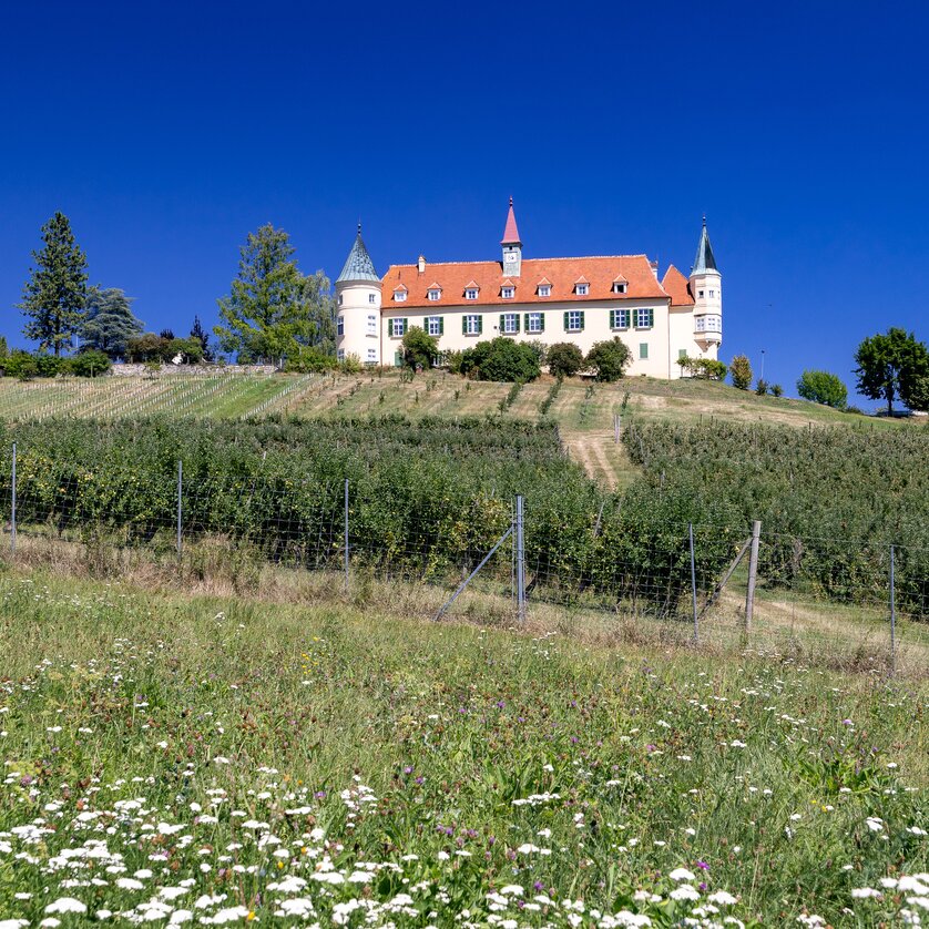 Der Weg ist das Ziel - Den Buchkogel erwandern | © Graz Tourismus - Harry Schiffer Der Weg ist das Ziel - Den Buchkogel erwandern | © Graz Tourismus - Harry Schiffer