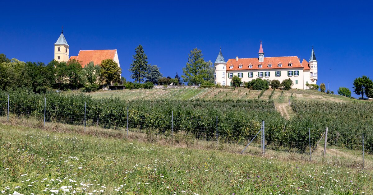 Vom Schloss zum Wein
