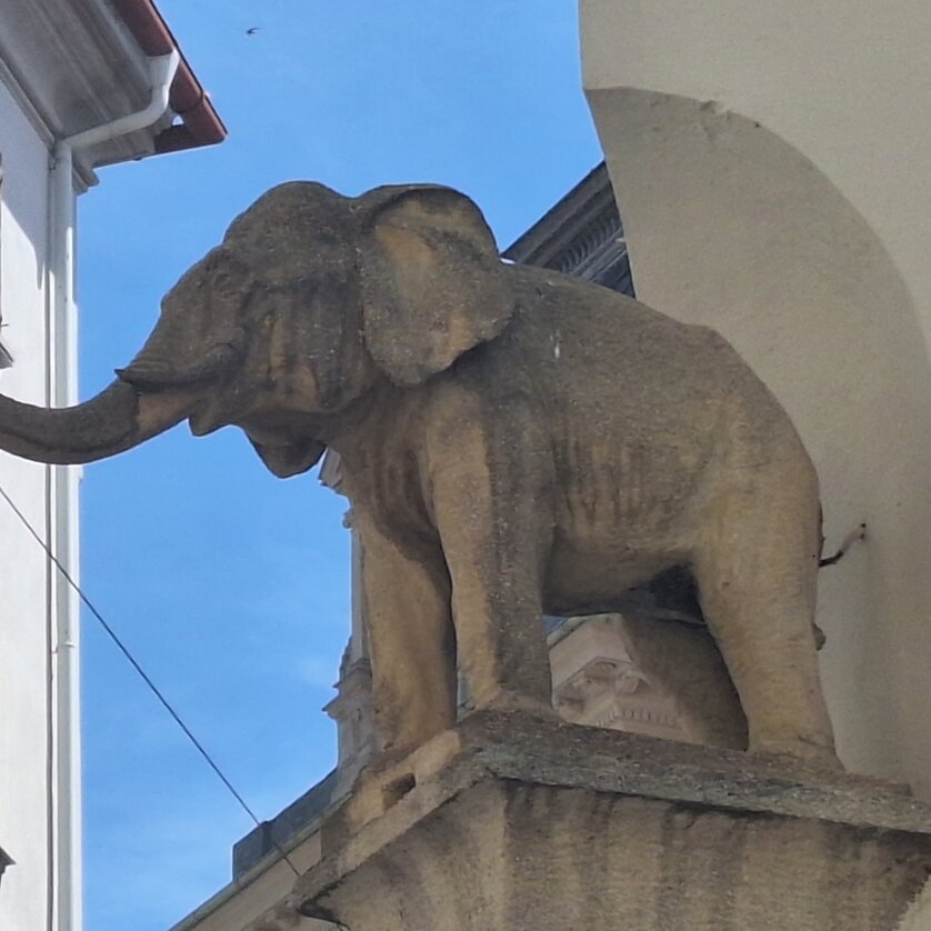 Elefant Grazer Innenstadt | © Graz Tourismus - Doris Pucher Steinerne Elefantenstatue auf einem Gebäudevorsprung in der Grazer Innenstadt | © Graz Tourismus - Doris Pucher