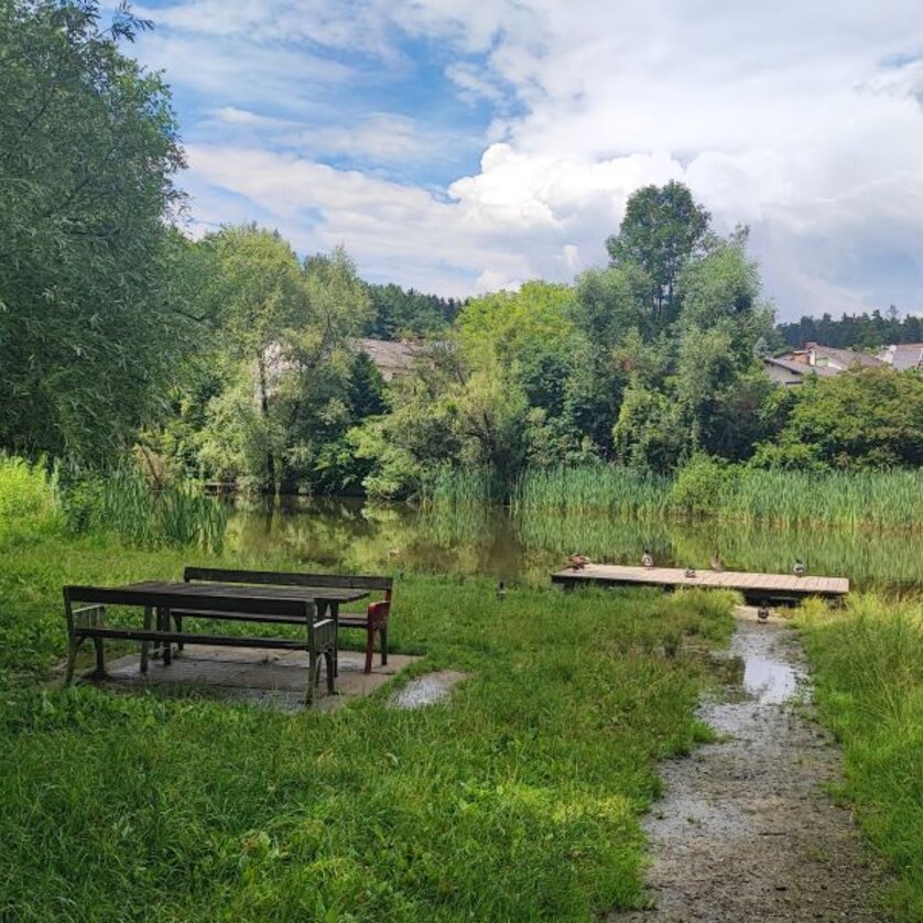 Rielteiche | © Stadt Graz - Grünraum und Gewässer Ein idyllischer Platz mit Tisch und Bänken am Teich, umgeben von Bäumen. | © Stadt Graz - Grünraum und Gewässer