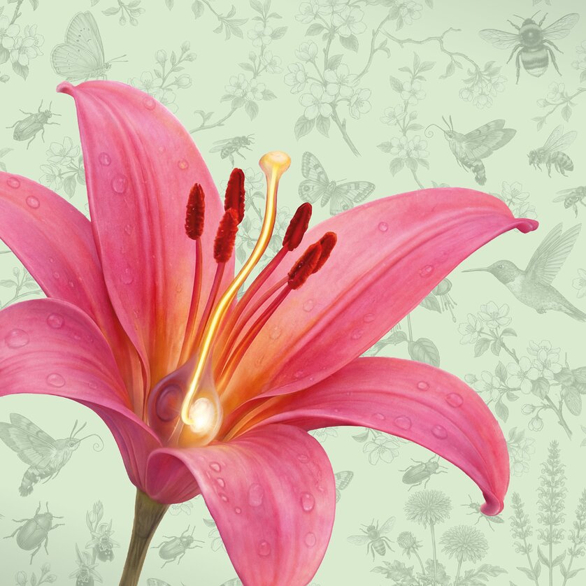 BLOOM-Tage und BLOOM-Feste - Impression #1 | © Abbildung: Egon Lauppert mit Unterstützung von KI