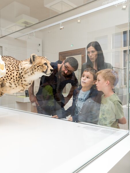 Natural History Museum | © UMJ - Harry Schiffer