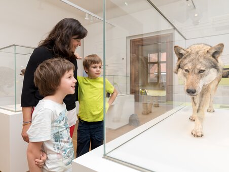 Natural History Museum | © UMJ - Harry Schiffer
