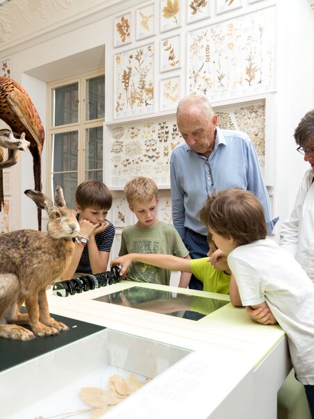 Natural History Museum | © UMJ - Harry Schiffer