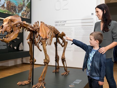 Natural History Museum | © Harry Schiffer