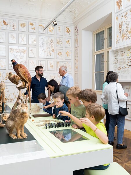 Natural History Museum | © Harry Schiffer