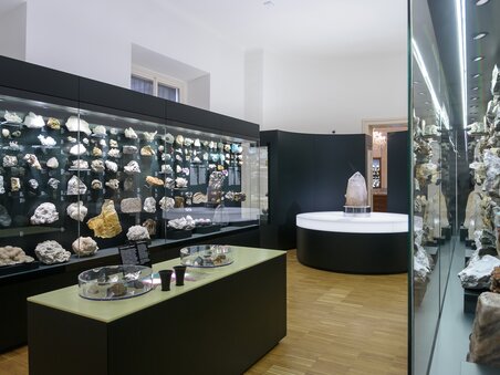 Natural History Museum | © UMJ - N. Lackner