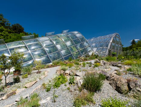 Serre innovative circondate da piante nel Giardino Botanico di Graz. | © Graz Tourismus - Harry Schiffer