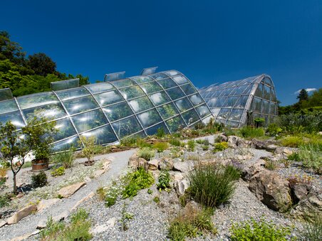 Gewächshäuser umgeben von Pflanzen im Botanischen Garten in Graz. | © Graz Tourismus - Harry Schiffer