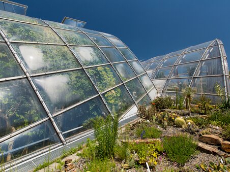 Gewächshäuser im Botanischen Garten in Graz unter blauem Himmel. | © Graz Tourismus - Harry Schiffer