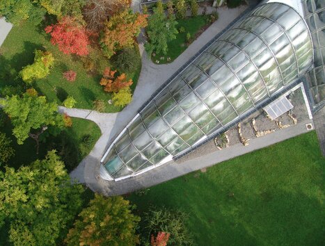 Luftaufnahme des Botanischen Gartens in Graz mit bunten Bäumen. | © Graz Tourismus - ZeppCam
