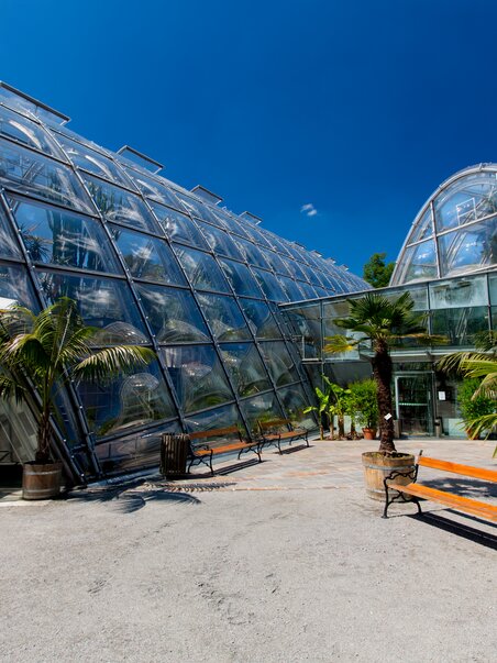 Glasarchitektur im Botanischen Garten in Graz mit Palmen. | © Graz Tourismus - Harry Schiffer