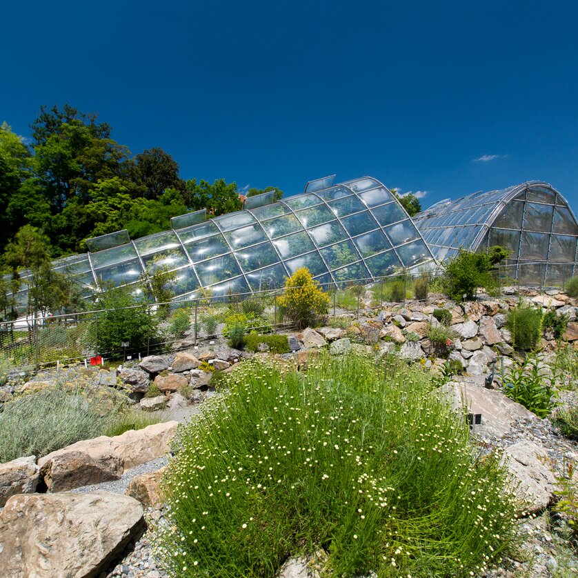 Giardino Botanico | © Graz Tourismus - Harry Schiffer Giardino Botanico Graz | © Graz Tourismus - Harry Schiffer
