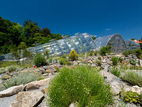Il Giardino Botanico a Graz con serre e paesaggi vegetali. | © Graz Tourismus - Harry Schiffer