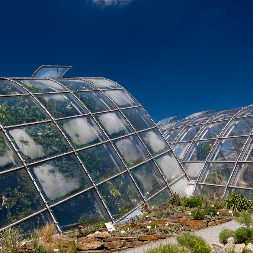 Gewächshäuser im Botanischen Garten in Graz unter blauem Himmel. | © Graz Tourismus - Harry Schiffer