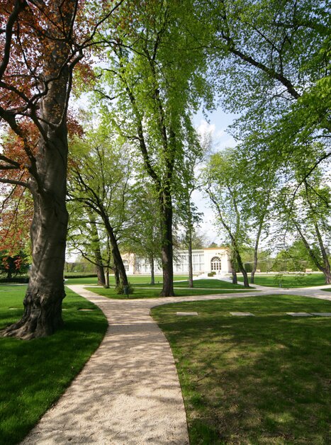 Ampio Burggarten a Graz con alberi caratteristici e sentieri. | © Graz Tourismus - Harry Schiffer