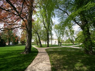 Ampio Burggarten a Graz con alberi caratteristici e sentieri. | © Graz Tourismus - Harry Schiffer
