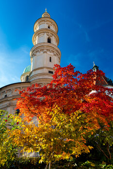 Herbstliche Farben um den Grazer Dom unter klarem blauen Himmel. | © Graz Tourismus - Harry Schiffer
