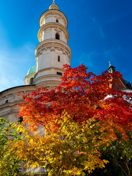 Herbstliche Farben um den Grazer Dom unter klarem blauen Himmel. | © Graz Tourismus - Harry Schiffer