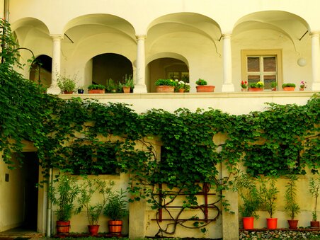 Ein Innenhof in der Grazer Sporgasse mit Pflanzen und Säulen, die über eine Wand wachsen. | © Graz Tourismus - Harry Schiffer