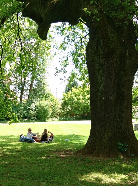 Grüne Wiese im Schlosspark von Schloss Eggenberg mit zwei Personen | © Universalmuseum Joanneum