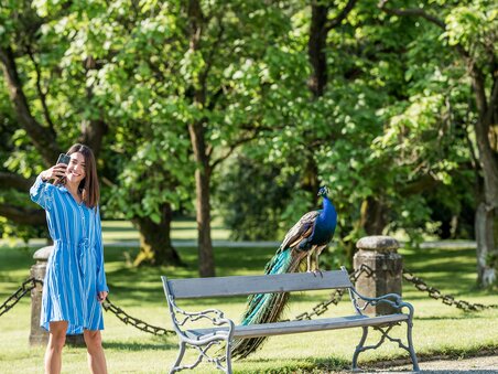 Woman taking selfie with peacock in the park around Eggenberg Palace. | © Graz Tourismus - Mias Photoart