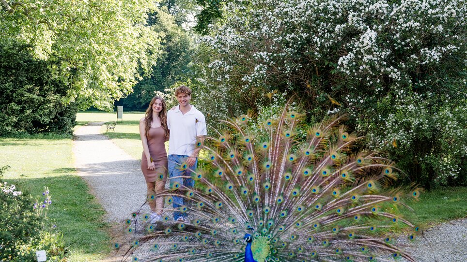 A couple poses in the palace park, a peacock spreads its feathers. | © Graz Tourismus - Mias Photoart