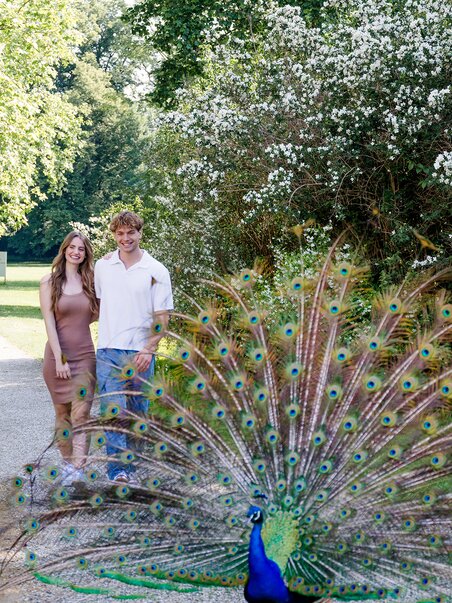 A couple poses in the palace park, a peacock spreads its feathers. | © Graz Tourismus - Mias Photoart