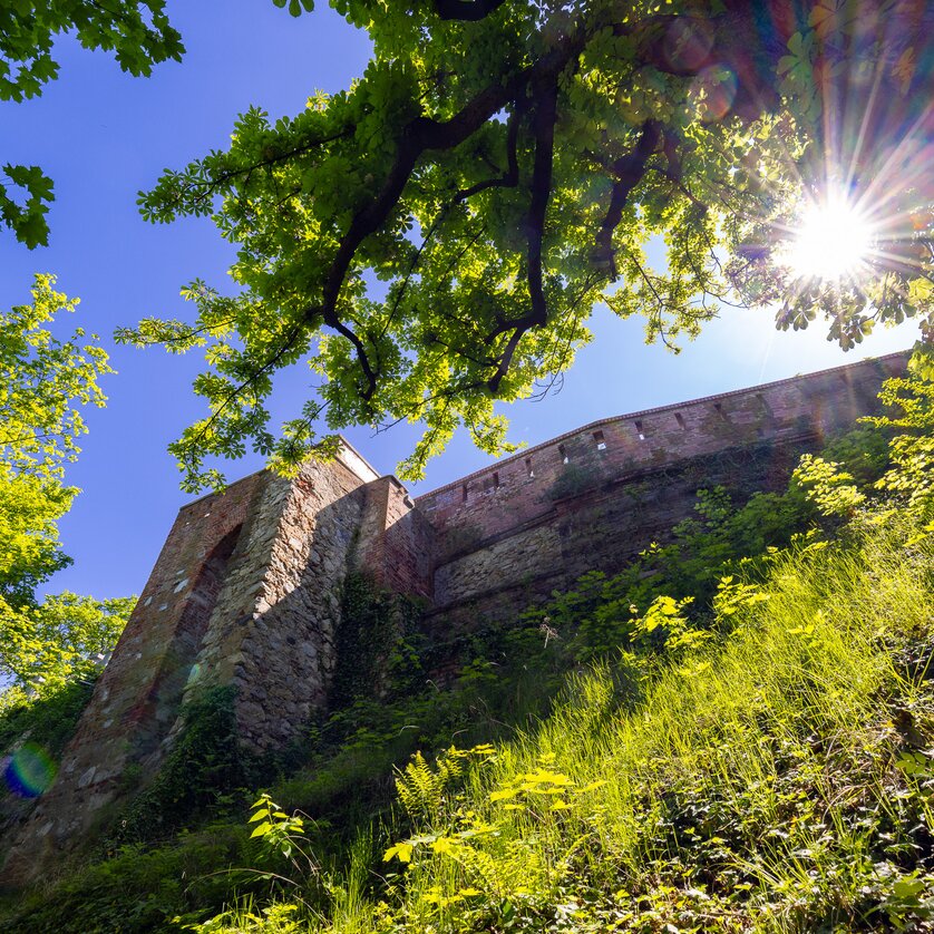 Festungsmauer mit Schießscharten am Grazer Schlossberg | © Graz Tourismus - Harry Schiffer Festungsmauer mit Schießscharten am Grazer Schlossberg | © Graz Tourismus - Harry Schiffer