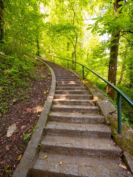 Stone steps winding through a green forest. | © Graz Tourismus - Harry Schiffer