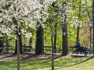 Stadtpark | © Graz Tourismus - Harry Schiffer