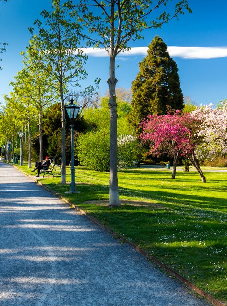 Stadtpark Graz | © Graz Tourismus - Harry Schiffer