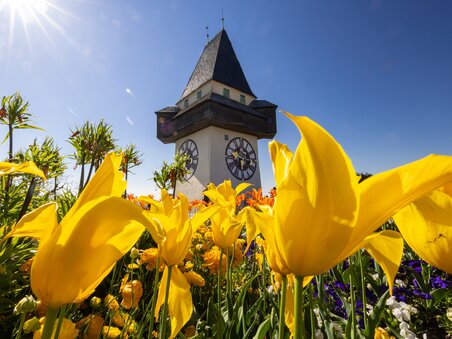 Farbenfrohe Tulpenblüten vor dem Uhrturm am Grazer Schlossberg. | © Graz Tourismus - Harry Schiffer