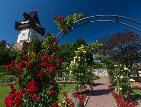 The clock tower on the Schlossberg in Graz, surrounded by a blooming garden. | © Graz Tourismus - Harry Schiffer