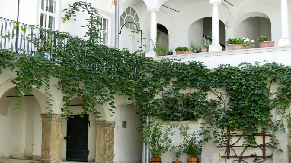 Ein ruhiger Innenhof mit Pflanzen und einer Eingangstür in Graz. | © Graz Tourismus - Harry Schiffer