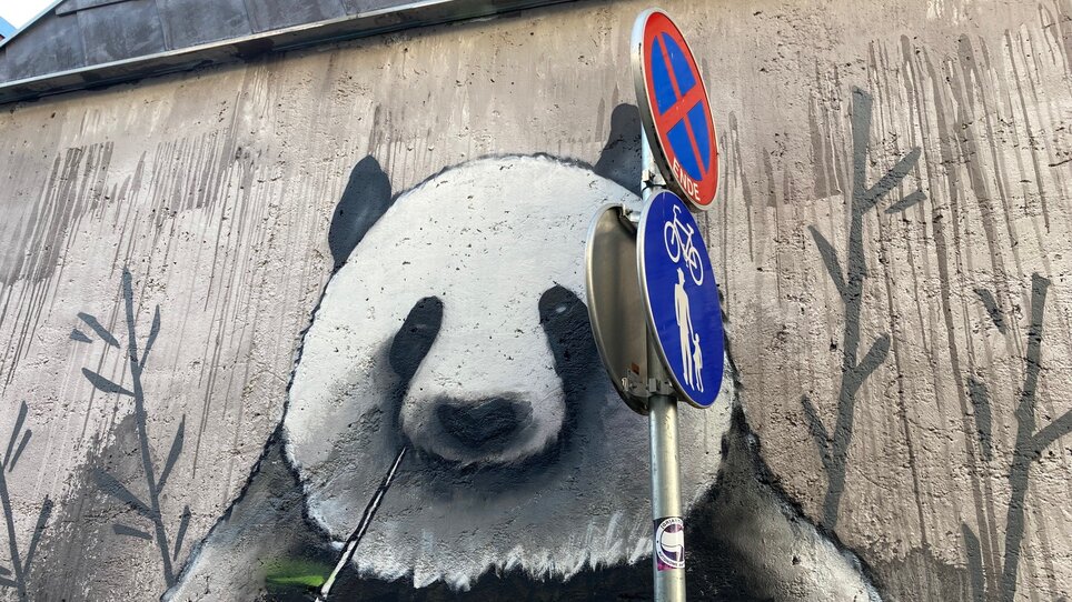 Graffiti eines Pandas, umgeben von Verkehrsschildern in der Stadt. | © Graz Tourismus - NA