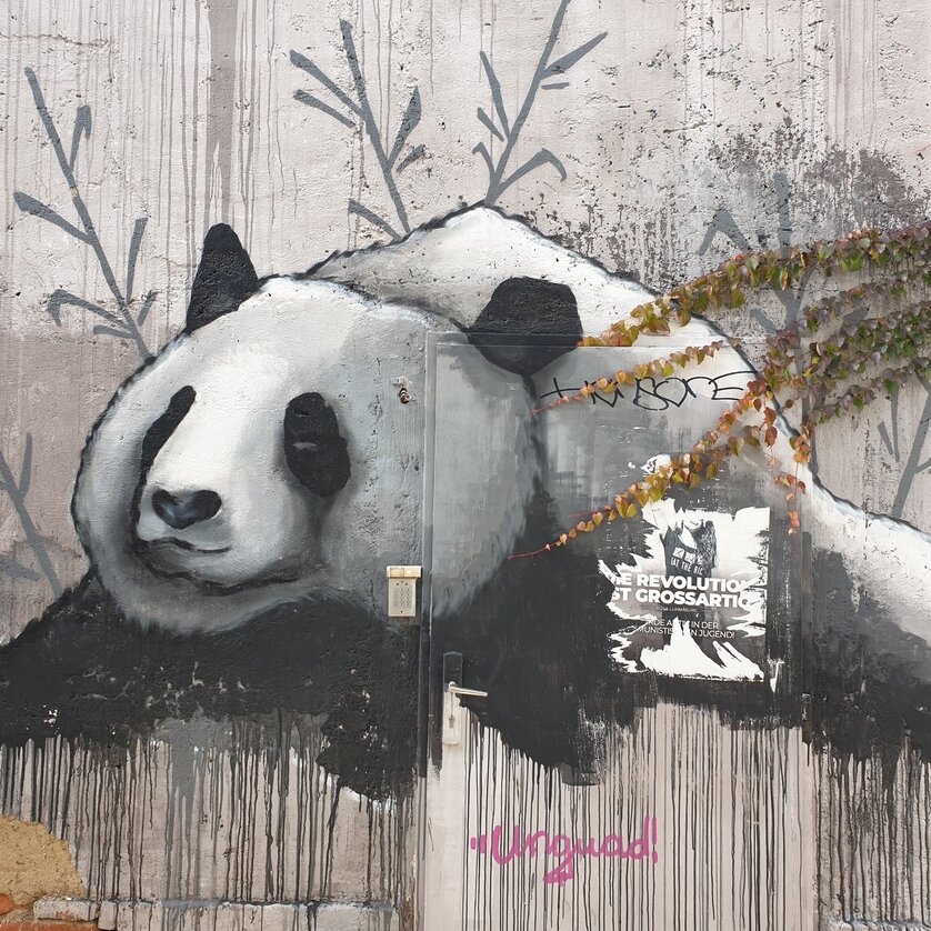 Graffiti im Grazer Griesviertel | © Gudrun Krinzinger - Reisebloggerin Graffiti im Grazer Griesviertel | © Gudrun Krinzinger - Reisebloggerin