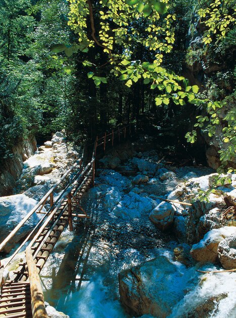 Ein Holzsteg führt über einen klaren Bach in der Bärenschützklamm | © Region Graz - Hans Wiesenhofer